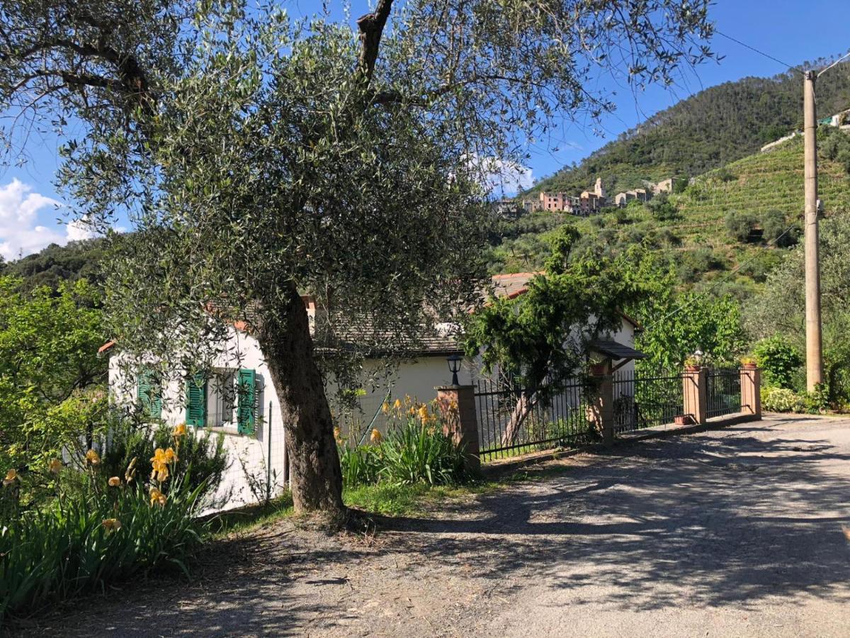 Dolcevia Apartment Levanto Luaran gambar