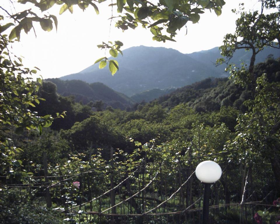 Dolcevia Apartment Levanto Luaran gambar